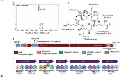 Vacidobactin A: An anti-Pseudomonas aeruginosa siderophore