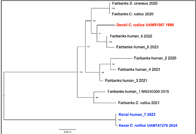 Historic and contemporary museum specimens implicate Northern Red-backed Vole (Clethrionomys rutilus) as borealpox host as early as 1990s