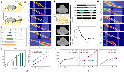 When and Where: A Model Hippocampal Network Unifies Formation of Time Cells and Place Cells
