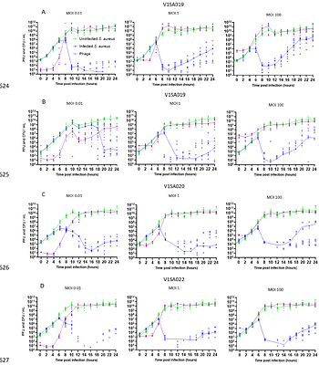 Exploring Phage-Staphylococcus aureus Host Dynamics Through Innovative In Vitro Experiment and Pharmacokinetic/pharmacodynamic Modeling