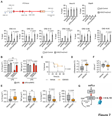 Host-derived oxidized phospholipids initiate effector-triggered immunity fostering lethality upon microbial encounter.