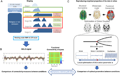 Brain network connectivity underlying remission in early psychosis: a whole brain model approach