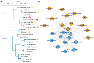 Threatened species bycatch hotspots in the tropical Atlantic Ocean