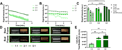 Critical Process Steps for Mechanical Agitation Driven Coated Nanobubble Self Assembly