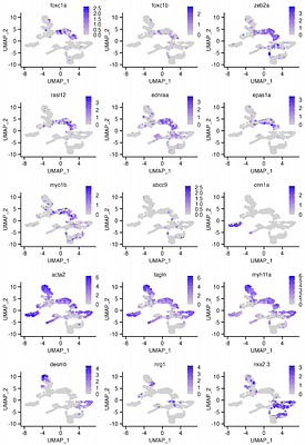 Receptor stoichiometry predicts artery-typical vulnerability to altered Notch signaling during smooth muscle differentiation.