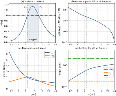 Analog regular black holes and black hole mimickers in a Bose-Einstein condensate: from the core to the light rings
