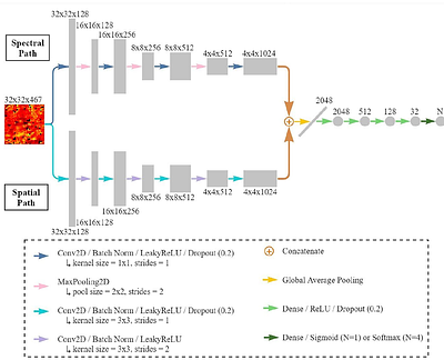 Dual-path convolutional neural network using micro-FTIR imaging to
  predict breast cancer subtypes and biomarkers levels: estrogen receptor,
  progesterone receptor, HER2 and Ki67