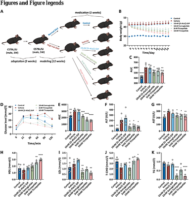 Tirzepatide improves pancreatic β-cell function in mice and patients with type 2 diabetes.