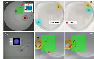 TracktorLive: an integrated real-time object tracking and response system