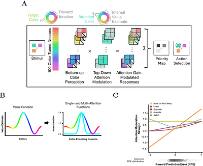 Modulation of feature attention by reward prediction error explains value learning behavior