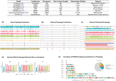 LAMBDA: A Prophage Detection Benchmark for Genomic Language Models