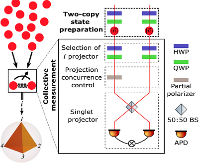 Experimental demonstration of a multi-particle collective measurement
  for optimal quantum state estimation
