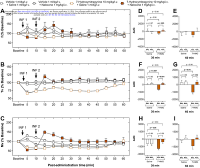 Mitragynine and 7-Hydroxymitragynine: Bidirectional Effects on Breathing in Rats