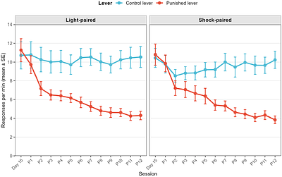Intentional control of instrumental punishment