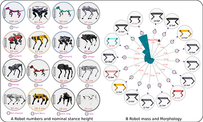 ManyQuadrupeds: Learning a Single Locomotion Policy for Diverse
  Quadruped Robots