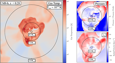 How High-Specific-Energy Winds Regulate the Circumgalactic Medium of Dwarf Galaxies