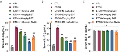 Gene III Ergothioneine ameliorates alcoholic fatty liver disease: A dual strategy of accelerated ethanol elimination and reducing oxidative stress