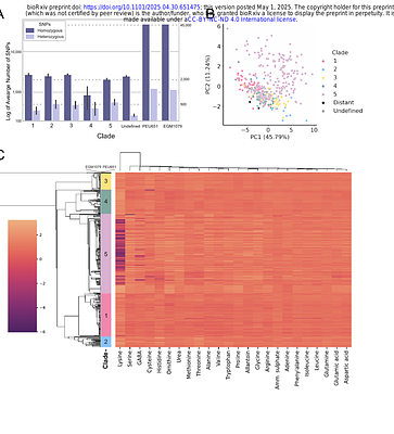 Small pangenome of Candida parapsilosis reflects overall low intraspecific diversity