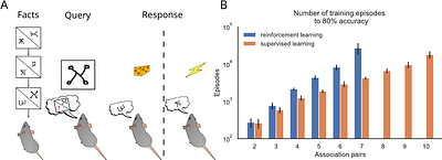 Non-synaptic plasticity enables memory-dependent local learning
