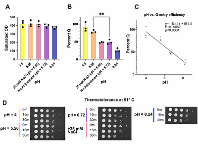 Acidic media promotes quiescence entry in Saccharomyces cerevisiae