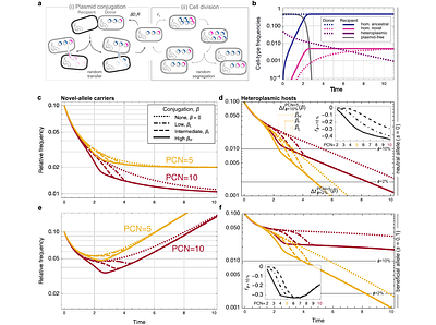 Horizontal transfer promotes allele segregation in multicopy plasmids