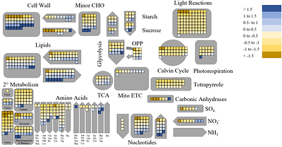 GNC is a regulator of metabolic and productivity responses to elevated CO2 in Arabidopsis thaliana