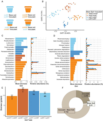 Environment and plant genetics shape barley rhizosphere microbiome structure across contrasting locations