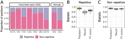 rDNAcaller: a fast and robust pipeline to call ribosomal DNA variants
