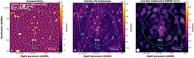 The MeerKAT Massive Distant Clusters Survey: a search for diffuse radio emission in 30 massive SZ-selected clusters at $z > 1$