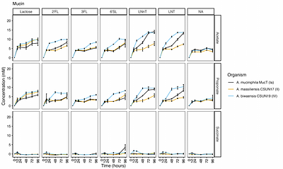 Time-resolved growth of diverse human-associated Akkermansia on human milk oligosaccharides