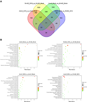 SNAP18 Truncation Triggers a Competitive Binding Switch Between NSF and ATG8f, Balancing Vesicular Trafficking and Autophagy for SCN Resistance in Soybean