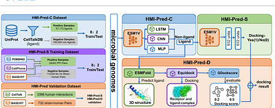 A Deep Learning Framework for Predicting Gut Microbe-Host Receptor Interactions