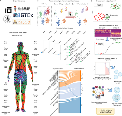 Organism-scale annotation with Pan-human Azimuth