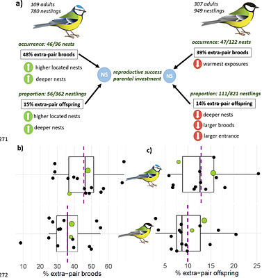 Avian promiscuity in the last European primeval forest