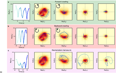 A hierarchy of locomotion costs shapes optimal foraging strategy