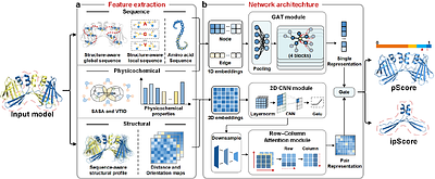 Highly Accurate Estimation of the Fold Accuracy of Protein Structural Models