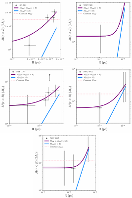 A novel method to trace the dark matter density profile around
  supermassive black holes with AGN reverberation mapping