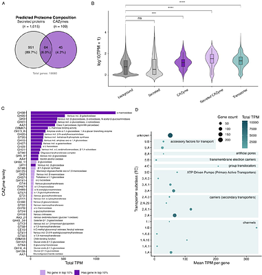 A rhizarian genome reveals an osmotrophic route to extracellular digestion in eukaryotes