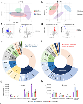 A plant-based biostimulant modulates grapevine susceptibility within a realistic water stress window through priming and phenylpropanoid pathway regulation