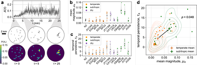 Natural variation in Caenorhabditis elegans collective behavior reveals potential adaptation to novel environments
