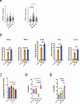 Multimodal analysis of cell-free DNA identifies epigenetic biomarkers for amyotrophic lateral sclerosis diagnosis and progression