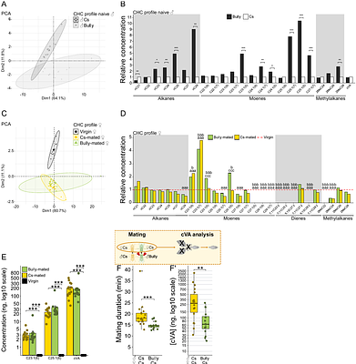 Aggressive trait selection influences life-history trade-offs, favoring survival over reproductive success in Drosophila melanogaster males