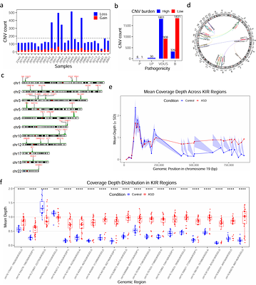 CNVPipe: An enhanced pipeline for accurate analysis of copy number variation from whole-genome sequencing