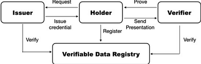 Redactable and Sanitizable Signature Schemes: Applications and
  Limitations for use in Decentralized Digital Identity Systems