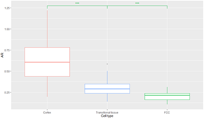 Phloem evolved gradually and asynchronously to xylem in early vascular plants