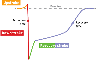 A case for slow-wave morphology as a functional biomarker of gastric disease