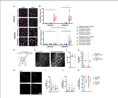 Pharmacological restoration of deficits in mitochondrial trafficking rescues aberrant axonal activity in tauopathy