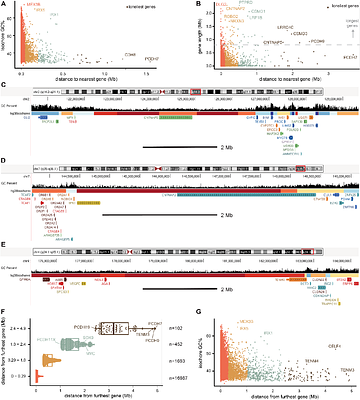 Human neurodevelopmental genes housed in massive, ancient gene deserts