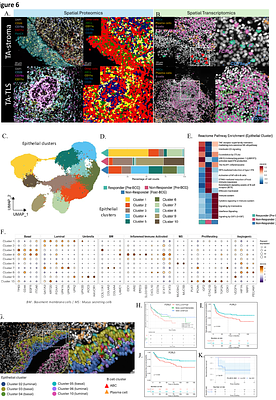 Systemic and tumor intrinsic expansion of FCRL5 expressing B cells associates with poor response to Bacillus Calmette-Guerin immunotherapy in patients with non-muscle invasive bladder cancer