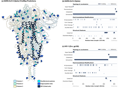 ViralMap: Predicting Features in Viral Proteins from Primary Sequence